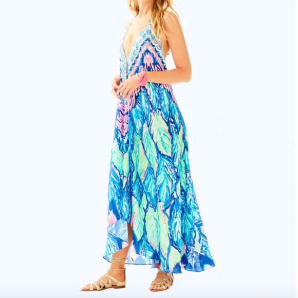 Lilly Pulitzer Dresses & Skirts - DISO Lilly Pulitzer Fayette Maxi in a m/l/xl